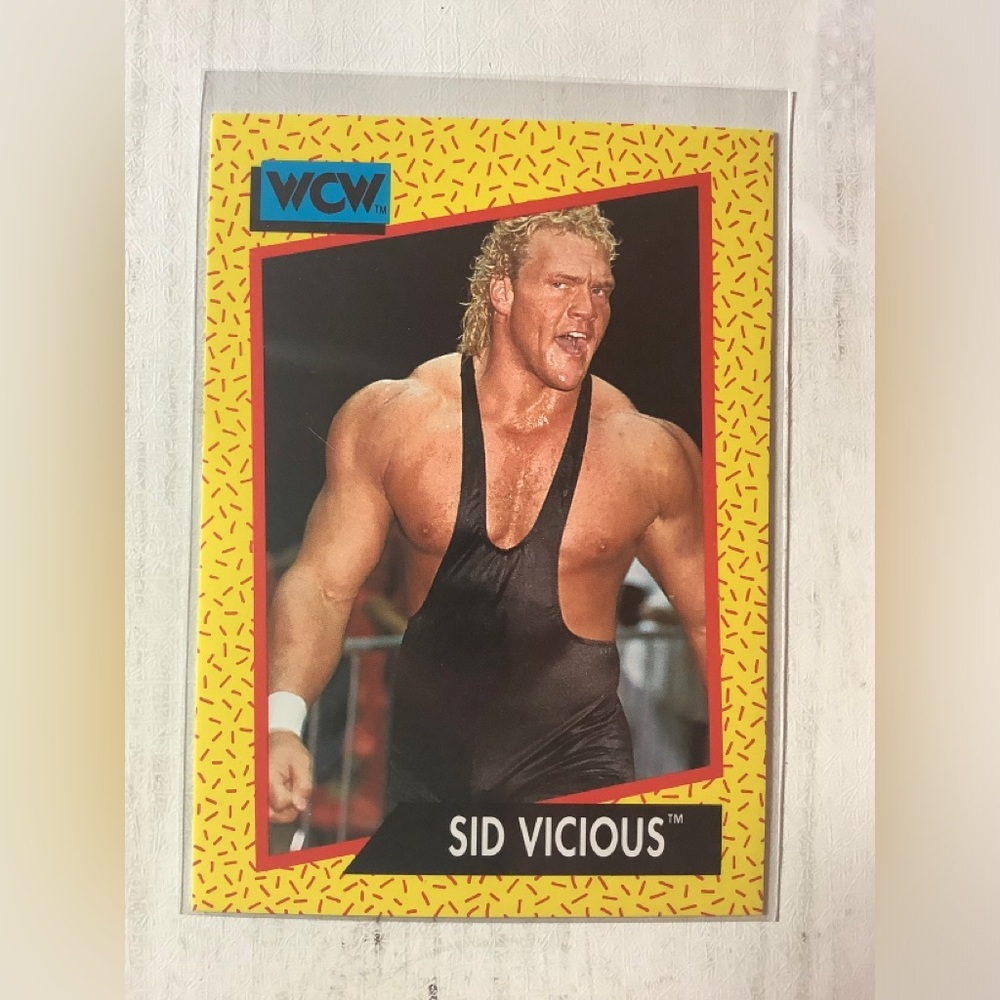 Sid Vicious 1991 Impel WCW #24 Base Trading Card